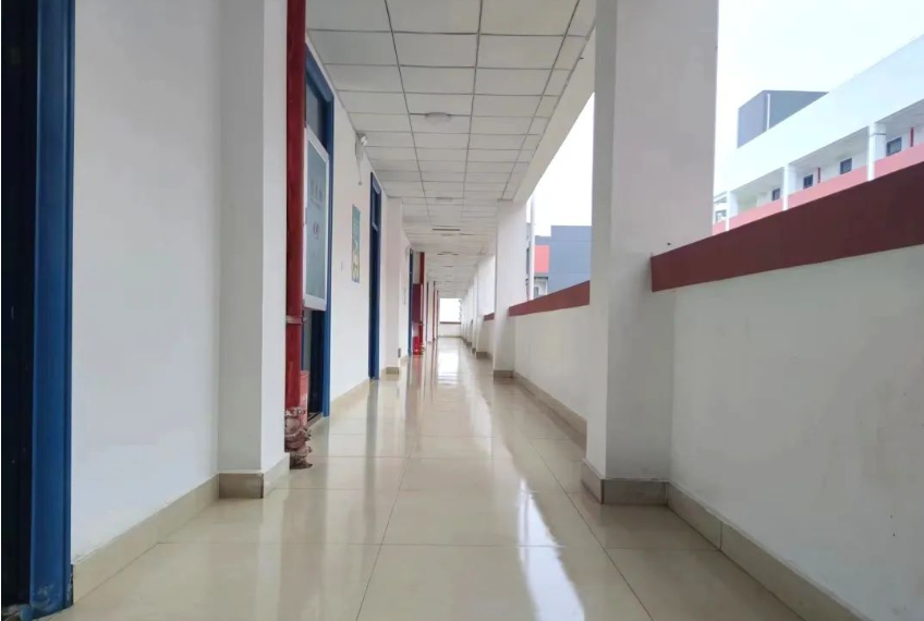 “五美”入室，滿樓飄香